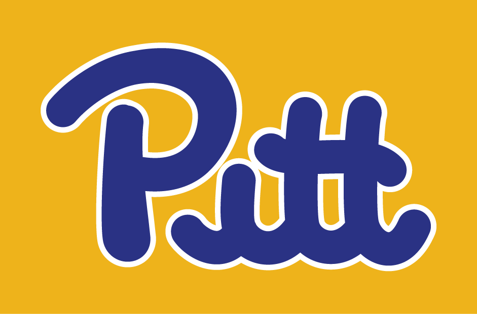 Pittsburgh Panthers 1973-1996 Wordmark Logo iron on transfers for clothing